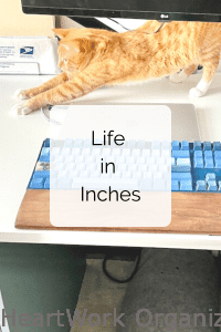 Read more about the article Life in Inches